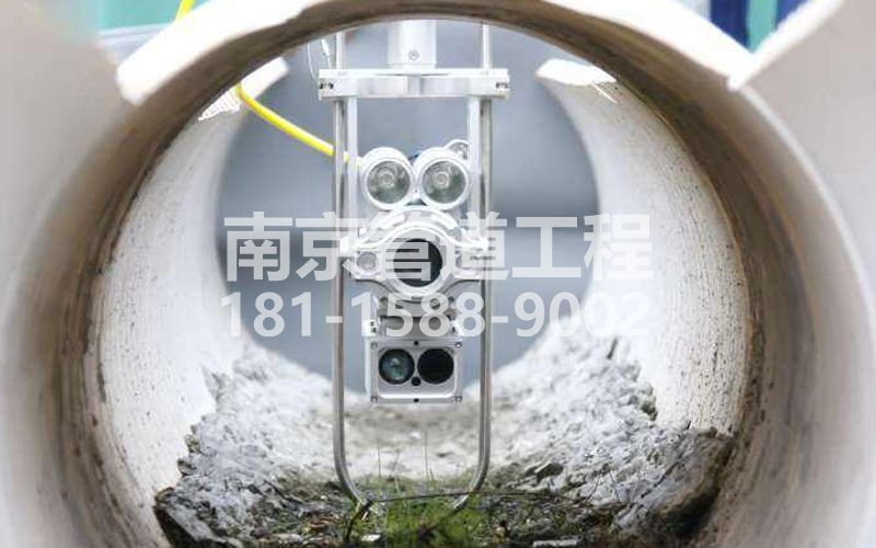 尧林仙居QV检测